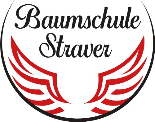Baumschule Straver