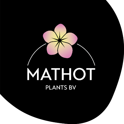 Mathot Plants B.V.