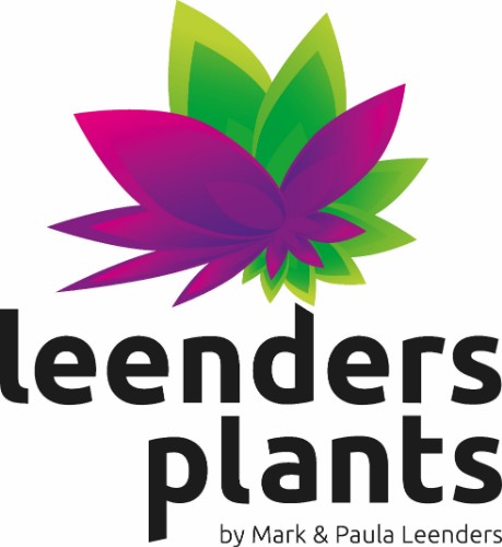 Leenders Plants