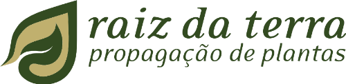 Raiz da Terra