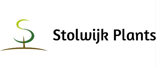 Stolwijk Plants